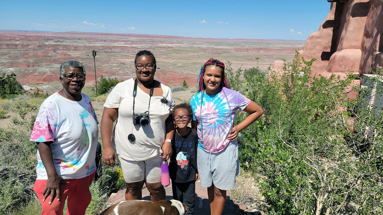 petrified forest national park az family dash